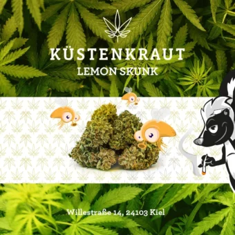 Lemon Skunk